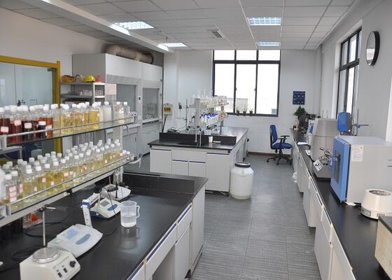 Flocculant Solid Water Decoloring Agent (Penghilang Warna Air Padat)